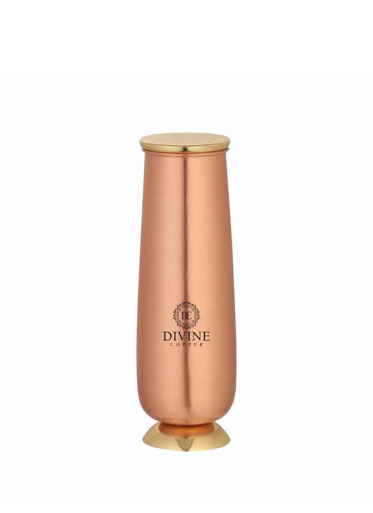 Pure copper Penguin Jar 1000ml with brass base