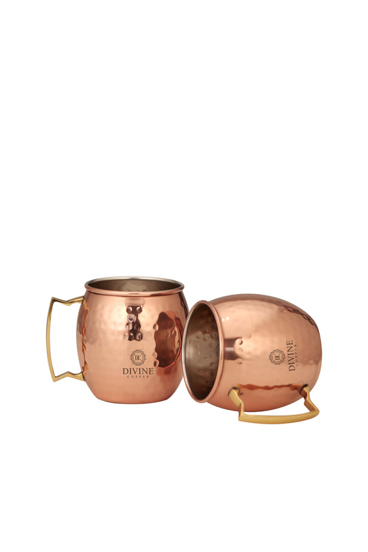 SS COPPER HMD MULE MUG GIFTING SET